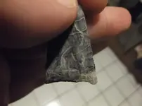 DSCF0087.webp