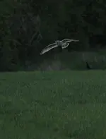 20120429_72.webp 20120429_72.webp