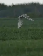 20120429_129.webp 20120429_129.webp