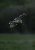 20120429_154.webp 20120429_154.webp