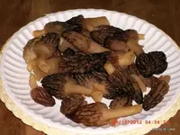 006-001.webp