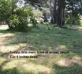 SF Park Finds 5-19-12 003.webp