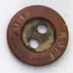 Capture button.webp