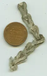 flat chain.webp