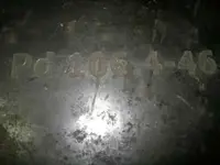 palladium (7).webp