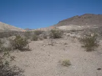 DSCN4083.webp