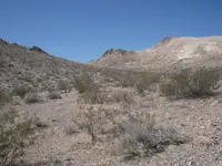 DSCN4086.webp