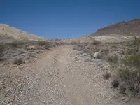 DSCN4085.webp