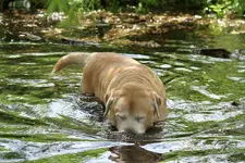 20120511_7.webp