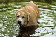 20120511_9.webp