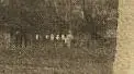 Baseball Photo Original 200 - White Dots.webp