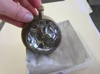 backofwatch.webp backofwatch.webp