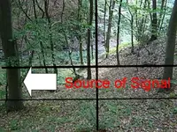 right%20view.webp