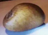 unusual rock.webp