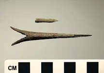 George's 1637 arrow point.webp