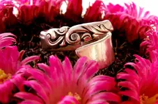 Silver wss 5-28sm.webp