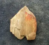 DSCF0013.webp