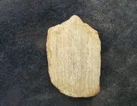 DSCF0014.webp