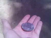 IMAG0007.webp