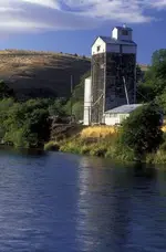 Grain Elevator on River.webp