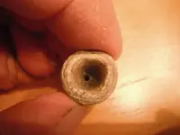Bullets buttons and large cent 057.webp