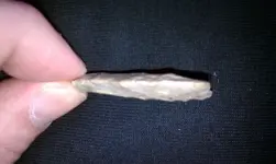 Mystery Point 9 4-15-12.webp