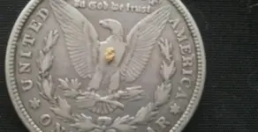 MissouriPickeronSilverDollar.webp