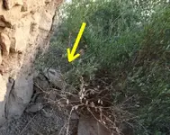 Stone Wall Final.webp