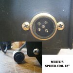 white's spider coikl.jpg
