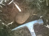 DSCF0033.webp