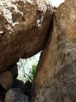 Trick in the trail final.webp