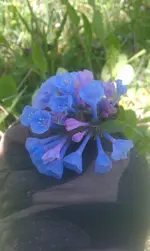 IMAG0163.webp