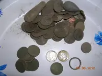 DSCN5492.webp