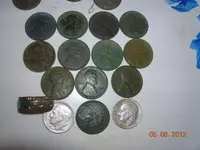 DSCN5506.webp
