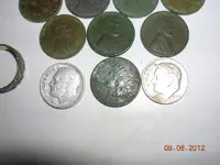 DSCN5513.webp