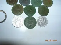 DSCN5514.webp