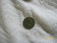 100_0645.webp