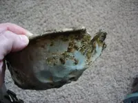 tin bowl_a.webp