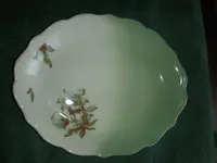 DSCN4629.webp