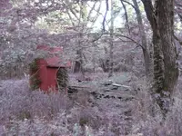 outhouse.webp
