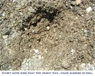 DSCF1380.webp
