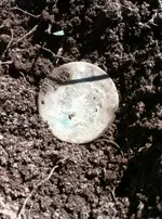 large cent in dirt.webp