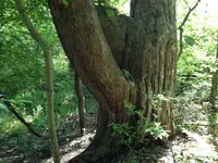 image-1595780715.webp image-1595780715.webp
