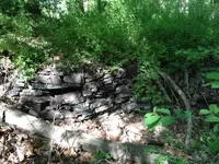 image-1776037417.webp image-1776037417.webp