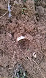 IMAG0091.webp