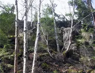 Rock 2.webp
