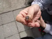 DSCF0506.webp
