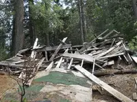 DSCN0491.webp