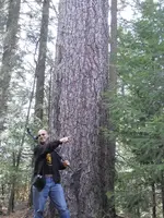 DSCN0485.webp