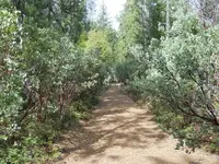 DSCN0480.webp
